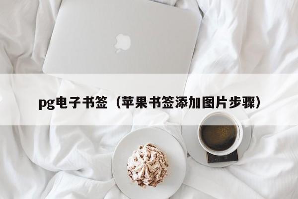 pg电子书签(苹果书签添加图片步骤)